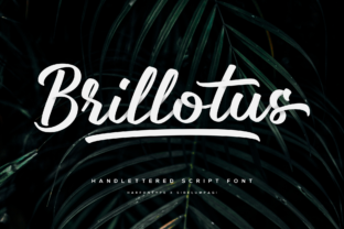 Brillotus: A Script Amp Worth Your Attention