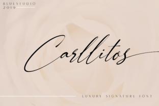 Carllitos Brings Lightness to Editorial Design
