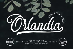 Orlandia Font: A Handwritten Script for Small Business Branding
